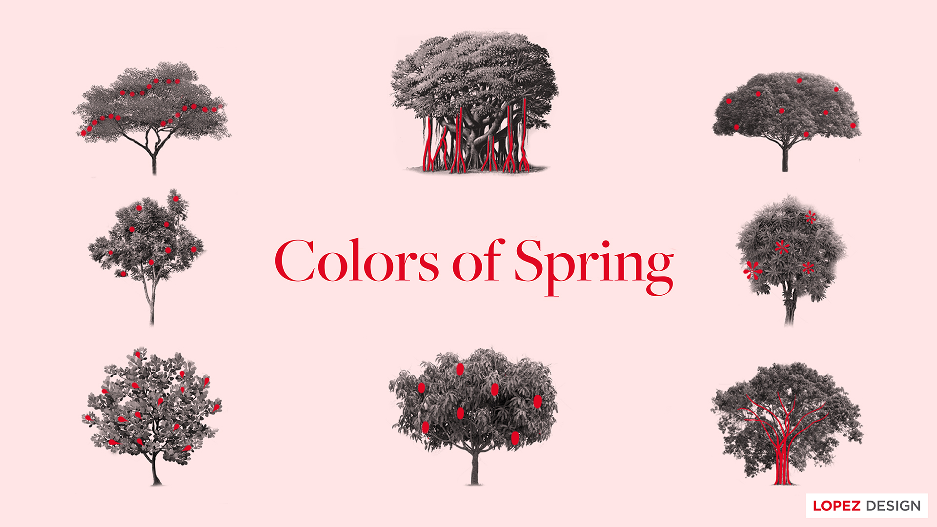 Colors of Spring