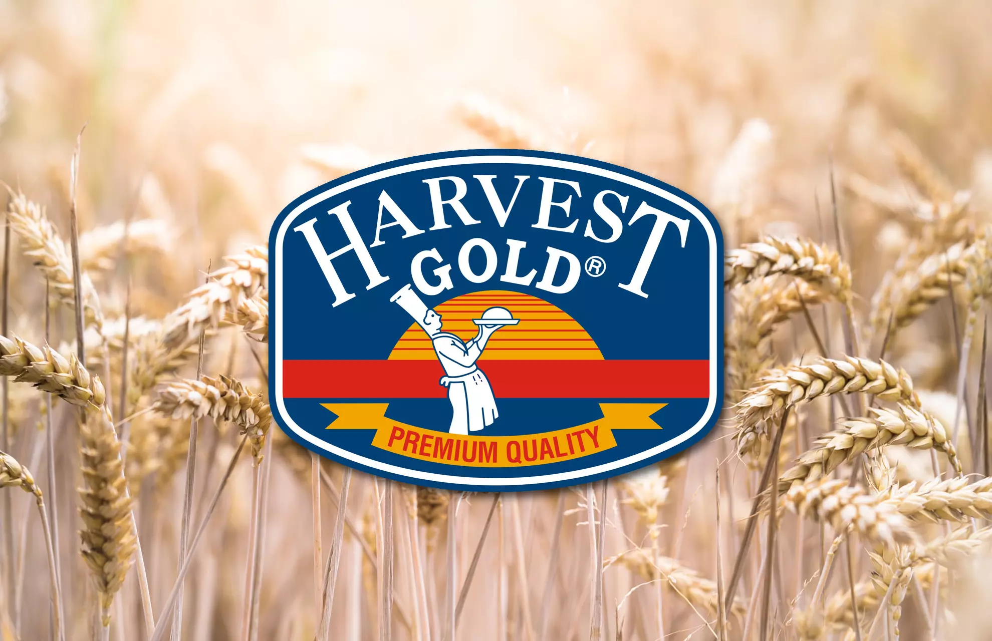 Harvest Gold