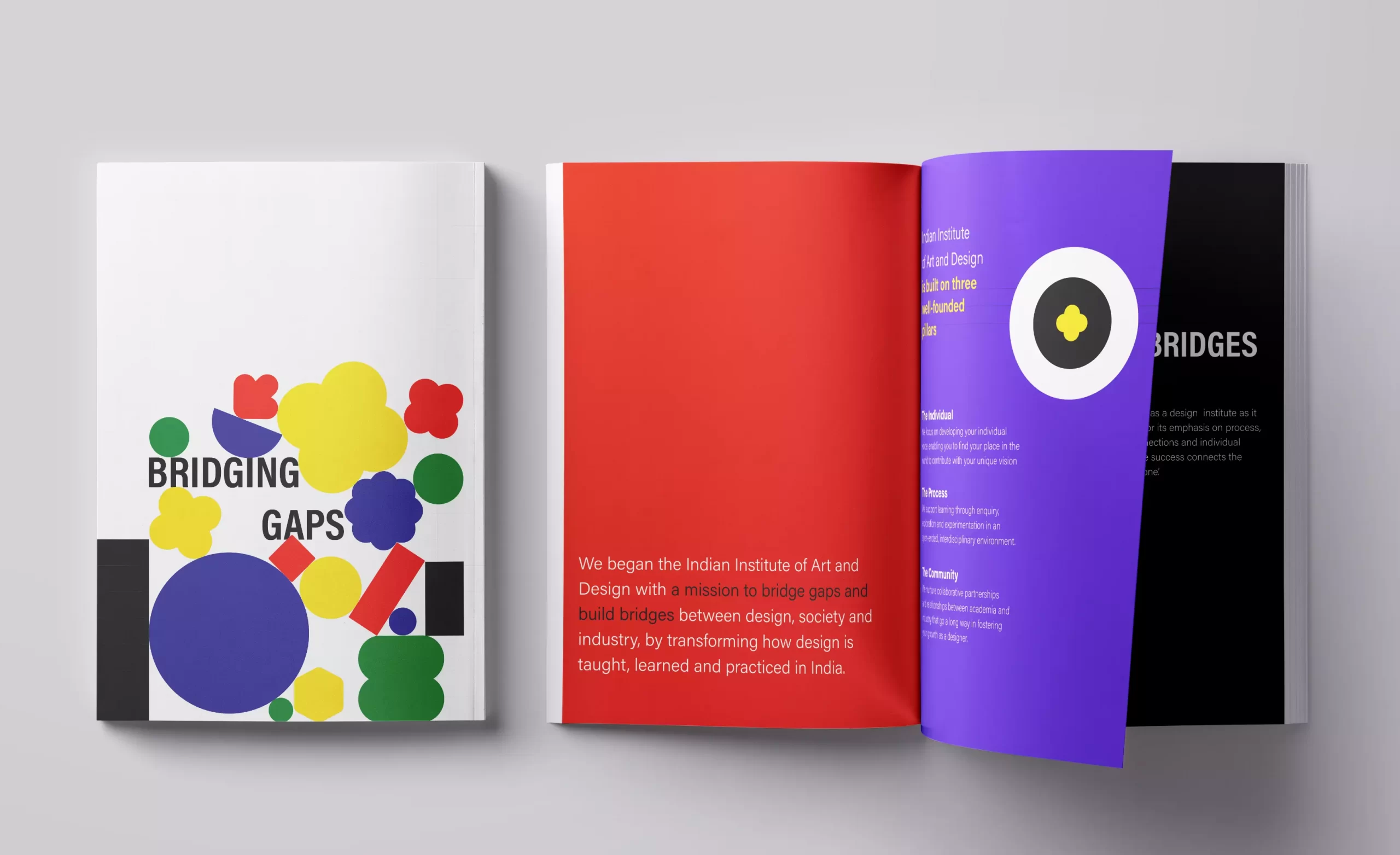 Visual and publication design for IIAD by Lopez design