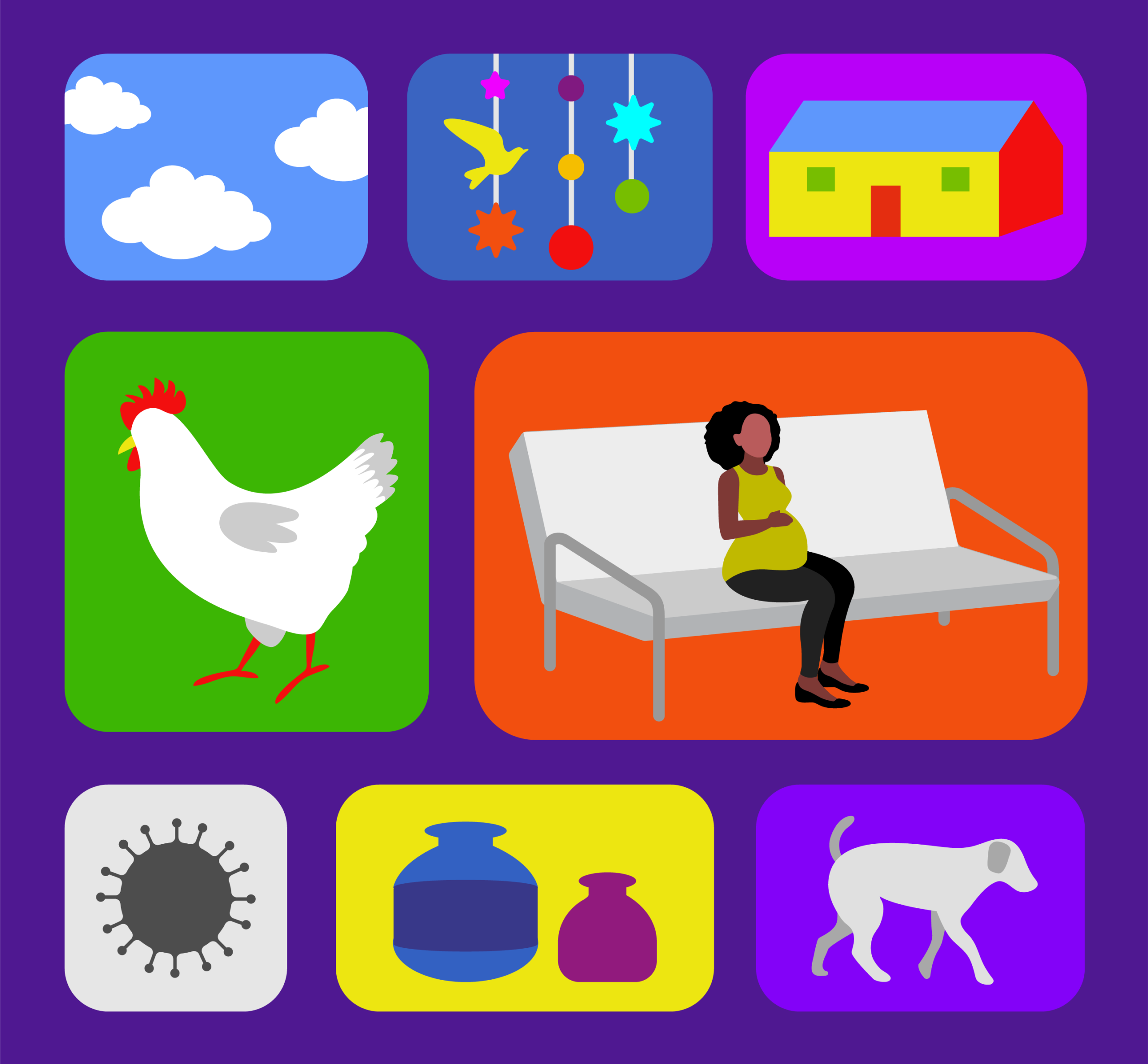 Illustrated icons for PMNCH by Lopez Design