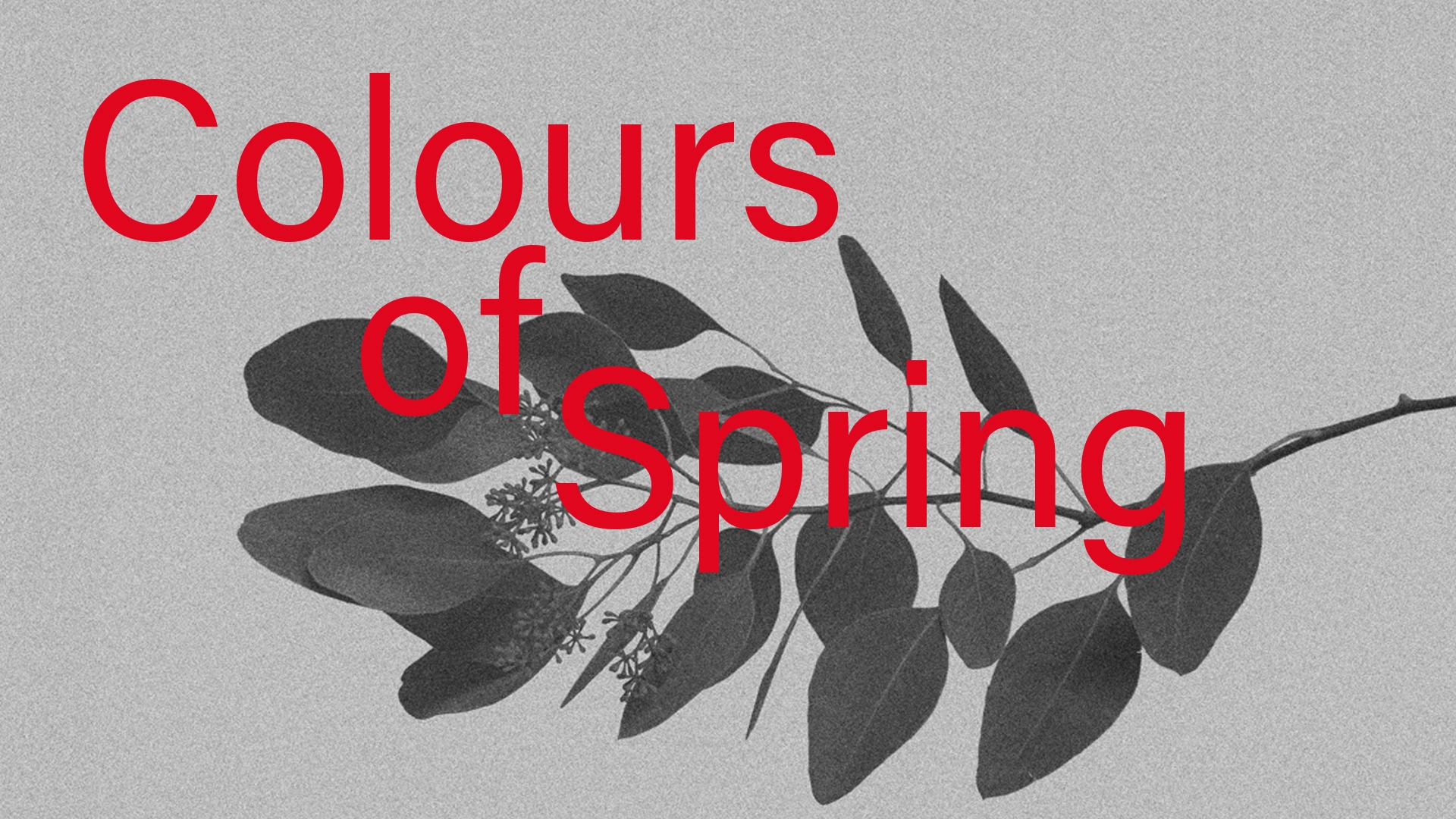 Colours-of-spring