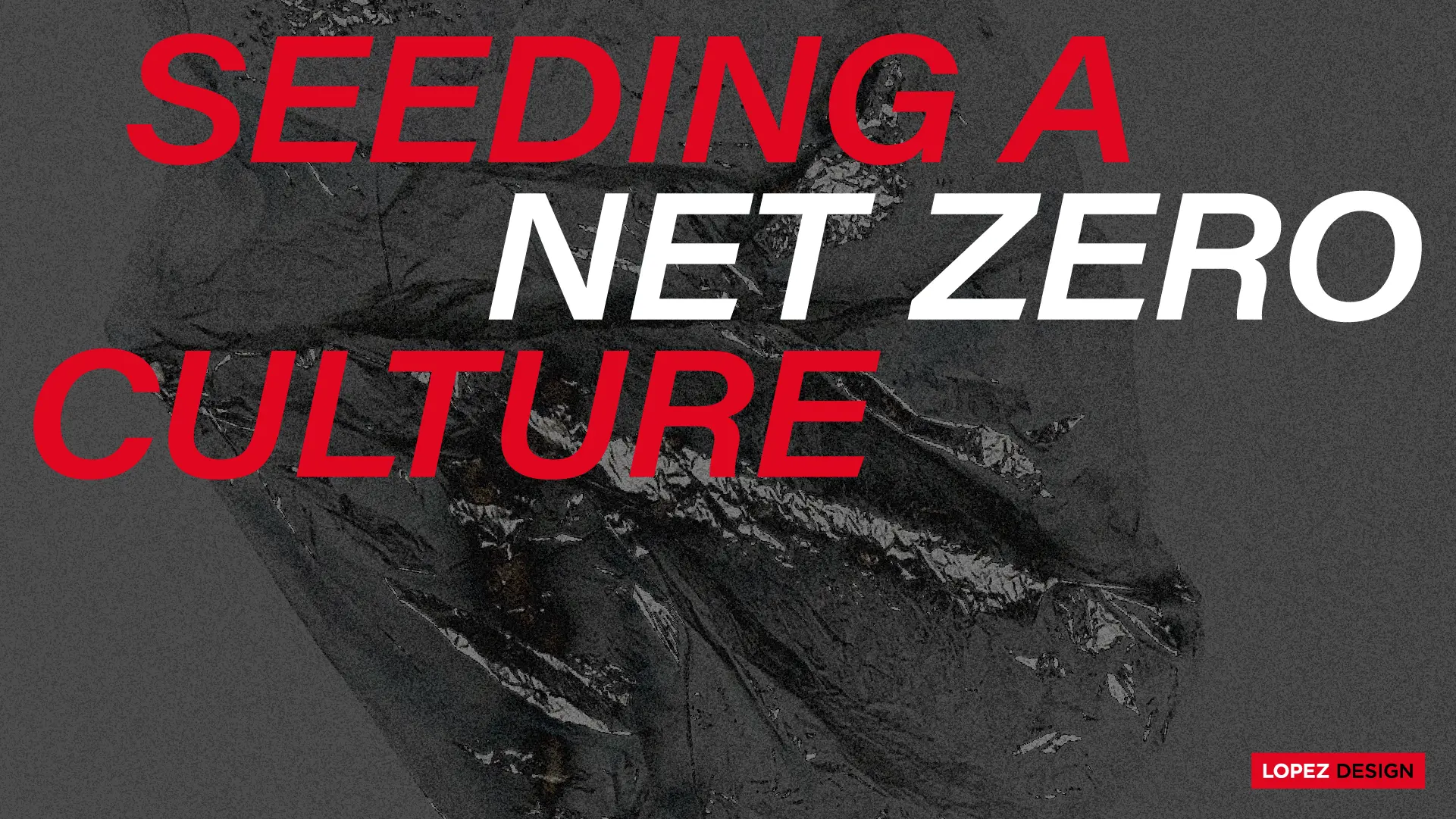 ARTICLE-NET-ZERO-1